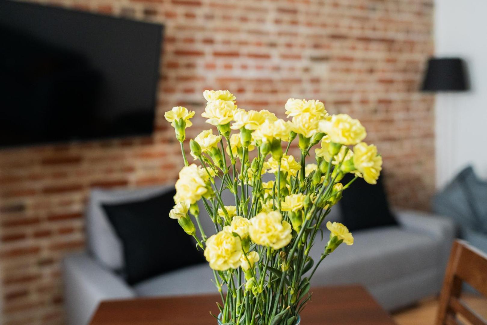 Big Apart - Nice Design - 3 Rooms - Wroclaw City Centre Luaran gambar